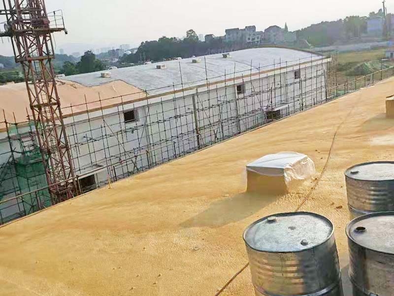 817cc09475e3e6bd4b6f3e8066d8b32